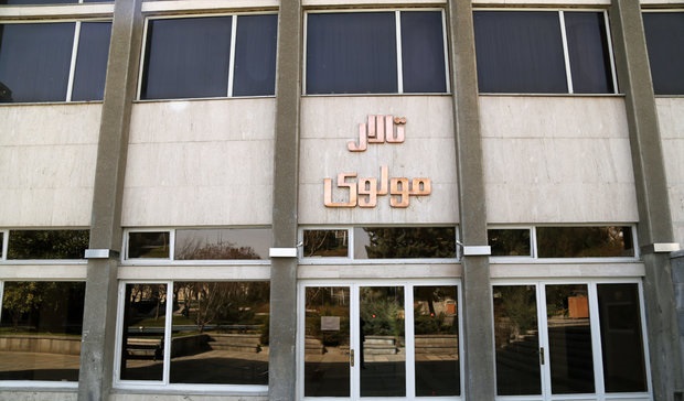 «مولوی» تعطیل خواهد ماند/ منتظر محدودیت‌های کارشناسانه‌تر هستیم!