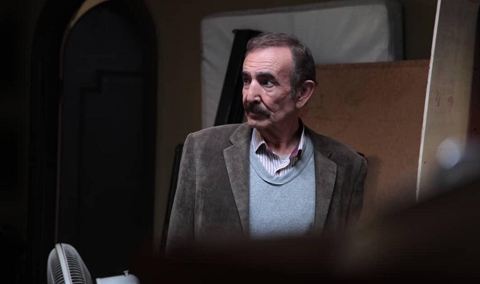 بازیگران سریال «روزگار جوانی» معرفی شدند