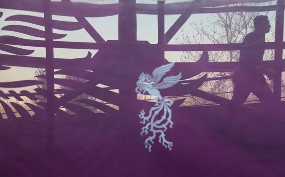 بیانیه هیأت داوران «فیلم فجر ۳۹»/ نباید تسلیم تاریکی و مرگ شد