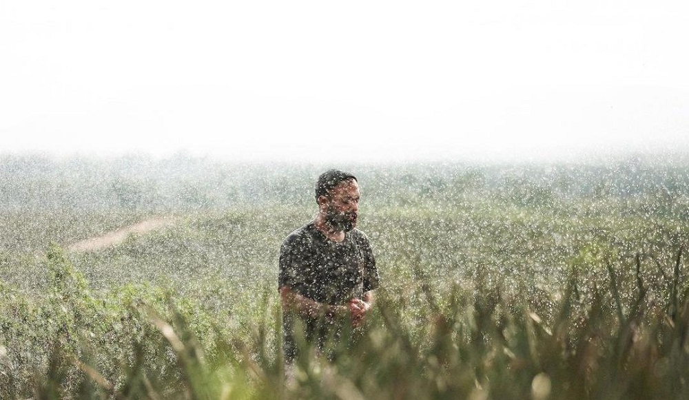 شکایت تهیه‌کننده «قورباغه» ‌از ۲ شبکه ماهواره‌ای/ عاملان در ایران هستند