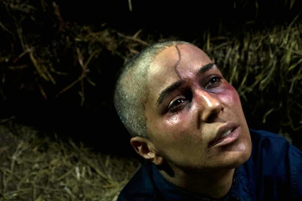 فیلم سینمایی «سرزمین آبی» از آمریکا و هند جایزه گرفت 