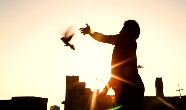 رمزگشایی از موسیقی جنوب در «سبالو»