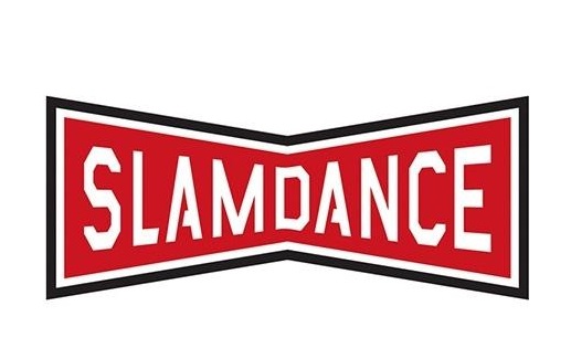 فیلم ۴ ثانیه‌ای محمد محمدیان برنده نشان ویژه جشنواره «اسلم دنس» شد