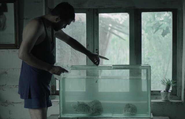  «گوشت خوار» در جشنواره فیلم کوتاه بوسان