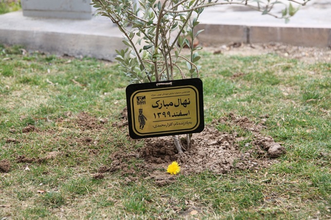 کاشت نهالی به نام مبارک و رونمایی از کتابهای جشنواره نمایش عروسکی