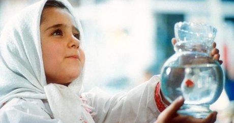 پیشنهاد هندی ها برای قرنطینه/ «قصر شیرین» و «بادکنک سفید» را ببینید