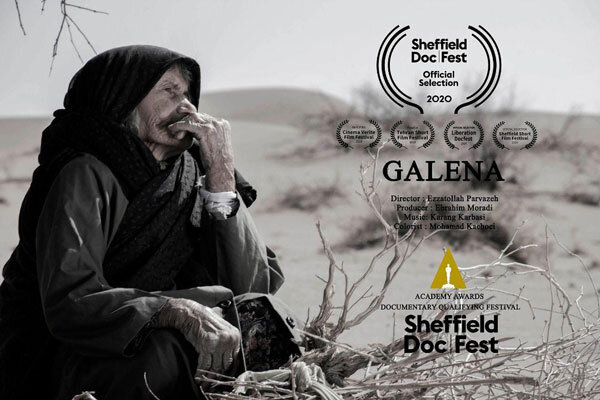 «گالین» به جشنواره «شفیلد» رفت/ یک تصویر آخر الزمانی