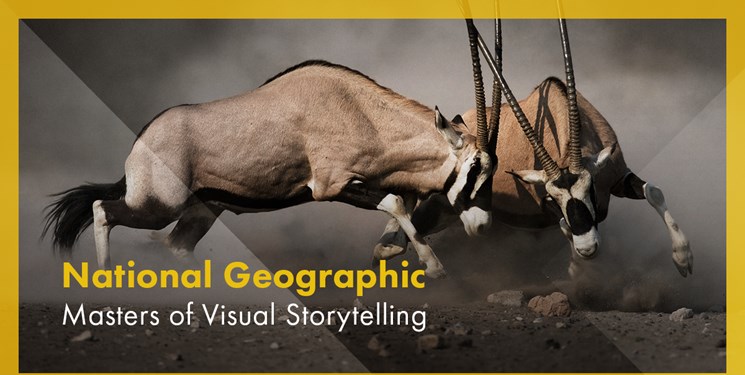 شرکت چینی سهام مستندهای «نشنال جئوگرافی» را خریداری کرد شرکت چینی سهام مستندهای «نشنال جئوگرافی» را خریداری کرد