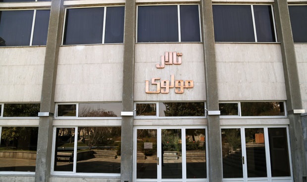 میزان حمایت از تئاترهای دانشجویی تأسف‌برانگیز است