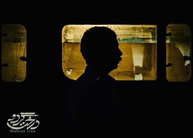 «درخت گردو» هم متقاضی رقابت اسکار است؟