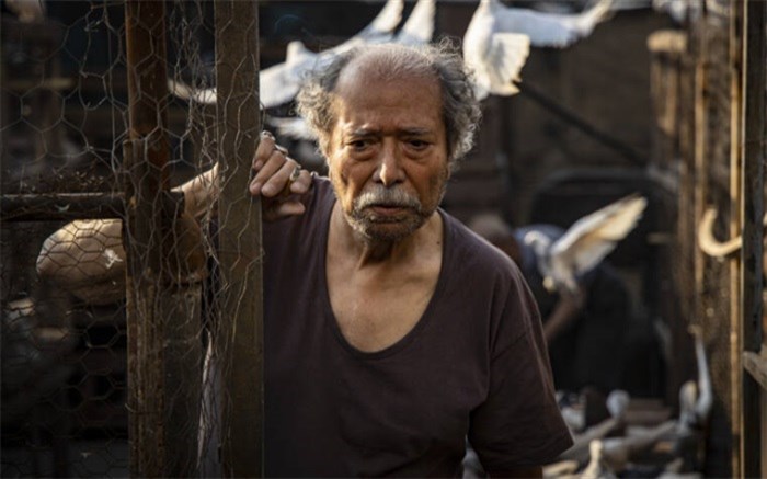 شیر ونیزی و «خورشید» مجیدی