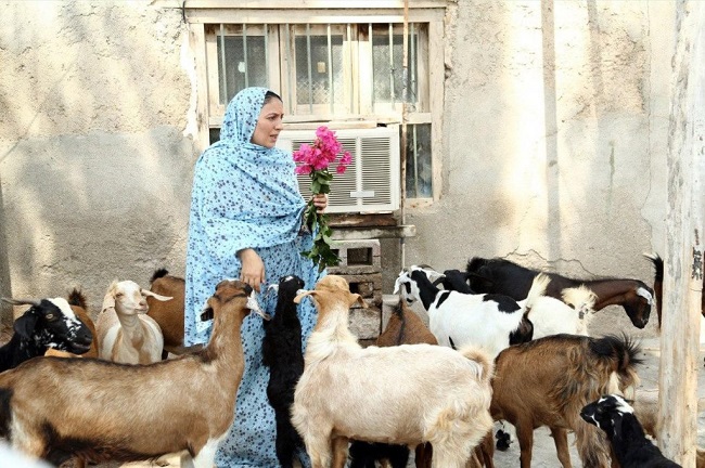 حقایقی درباره جزیره رنگین به بهانه نمایش ویژه آن در گروه هنروتجربه