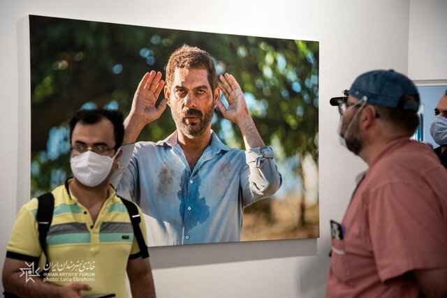 «درخت گردو» با عکس‌هایش تماشایی شد