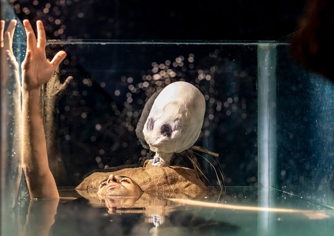 كارگردان ها گاهی خلاقیت كشی می كنند