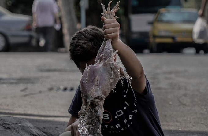 «کشتار روز تهران» جایزه بهترین کارگردانی را دریافت کرد