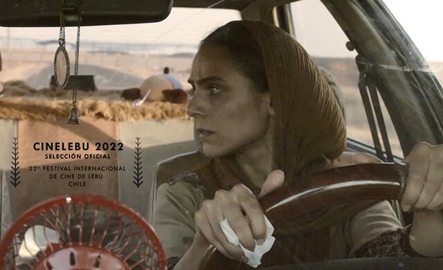  «سایکو» در جشنواره مورد تایید آکادمی اسکار