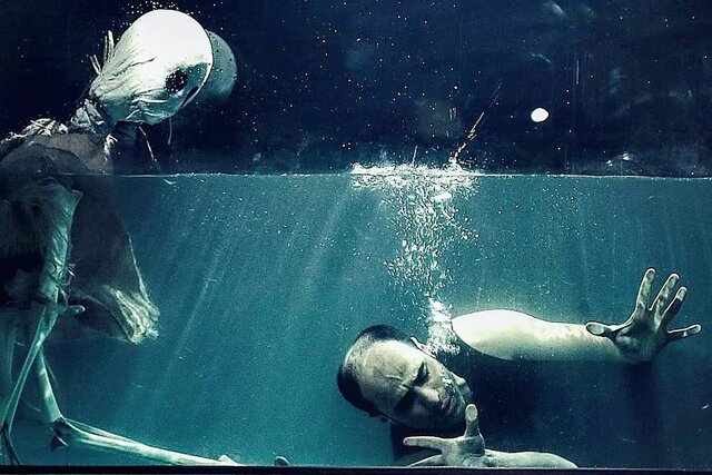  پرفورمنسی سه ساعته در یک آکواریوم