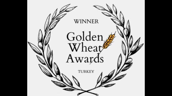 «از وهم تا وحشت» بهترین فیلم جشنواره گندم طلایی شد 