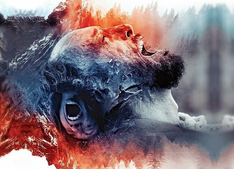 «دانه‌ های قرمز برف» پروانه نمایش گرفت 