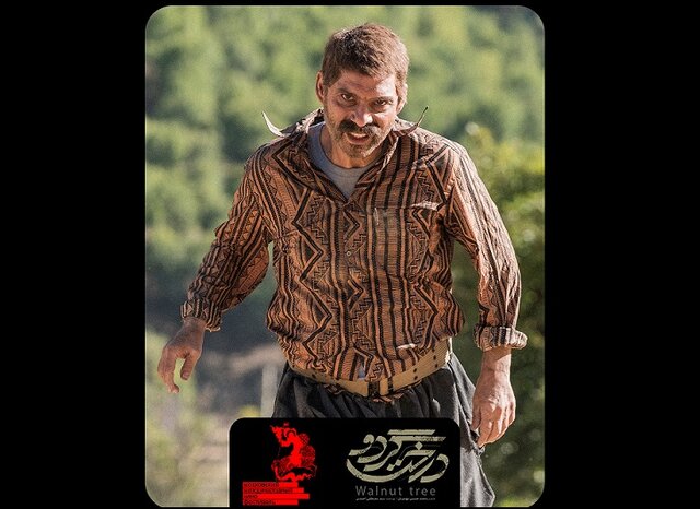  «درخت گردو» به جشنواره مسکو دعوت شد