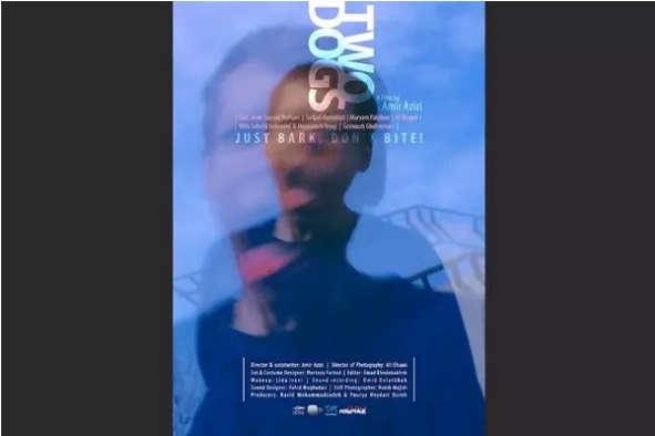 نوید محمدزاده تهیه‌کننده شد/ «دو سگ» در جشنواره ورشو