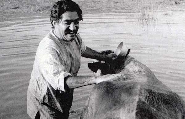 نمایش نسخه مرمت‌ شده «گاو» در ترنستوپیای برلین