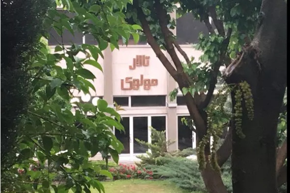 احتمال آغاز اجراهای تالار مولوی از پایان هفته