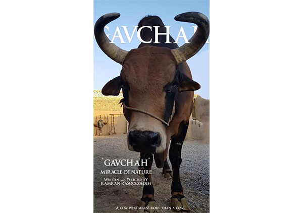 «گاوچاه» به فستیوال لندن رسید 