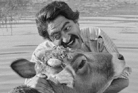 «گاو» مهرجویی به روایتی دیگر