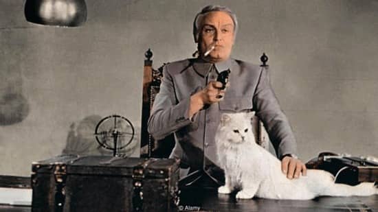 مروری بر تاریخچه حضور «گربه‌ها» در سینما! 