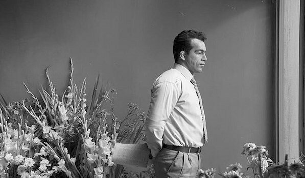  جوایز جشنواره فیلم‌های ورزشی «کنیا» برای آثار ایرانی