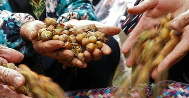 رنج زیر پوست محسن/ در یادبود محسن جعفری راد