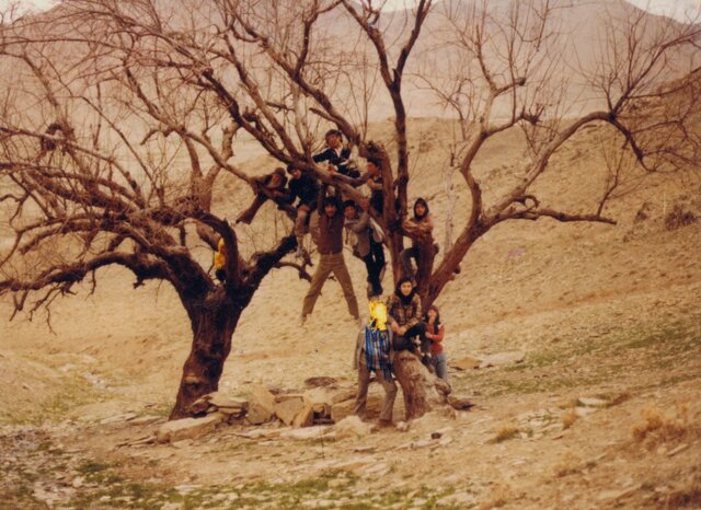  مستند پگاه آهنگرانی در ۴ جشنواره خارجی