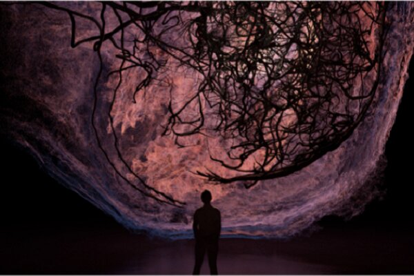 پروژه بعدی ترنس مالیک اعلام شد/ با بلانشت در واقعیت مجازی ترایبکا