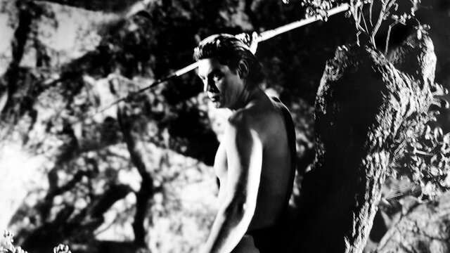  بازگشت «تارزان» به سینما