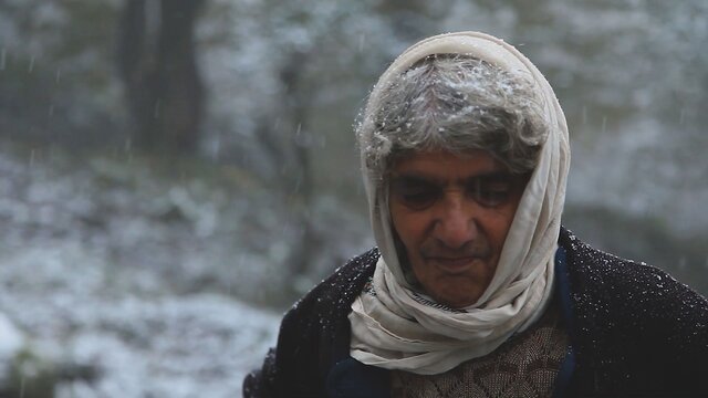  راهیابی دوربین‌های یک مستند به خلوت پیرزن جنگل‌نشین