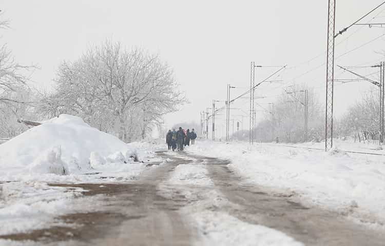 سوره «پاتوق مستند» راه انداخت/ اکران «زمزمه‌های گمشده در دوردست» 