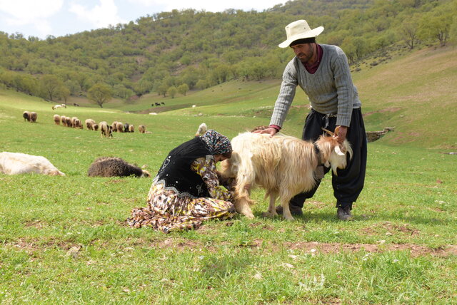  مستند «چهره‌پرداز» به جشنواره پرتغال دعوت شد
