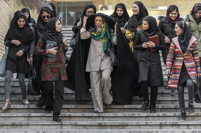 جوجه تیغی ۱ میلیاردی