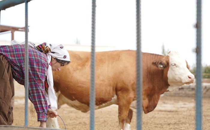 فیلم کوتاه «چرخه‌ نهم» به مرحله تدوین رسید