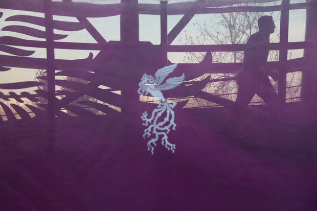 کنجکاوی درباره فیلم‌اولی‌های «فجر ۴۲»/ شگفت‌زده می‌شویم؟