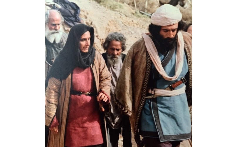 یک سریال با بازی سوسن تسلیمی از تلویزیون پخش می‌شود 