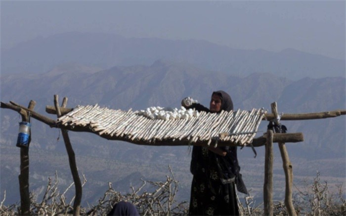 پرداخت مشکلات زنان عشایری در «دختر کوه نور»