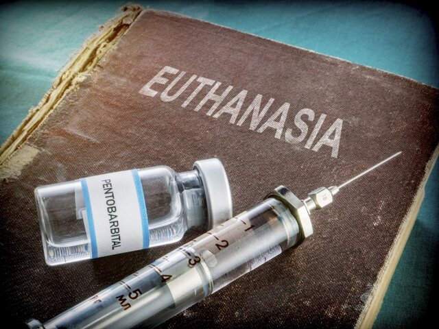 هر ۵ نفر می‌خواستند که بمیرند اما...