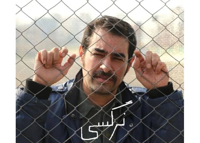 فیلم سینمایی «نرگسی» قاچاق شد