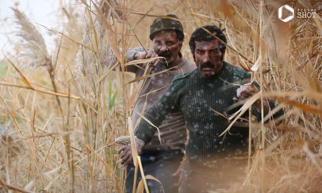 این فیلم ها دیگر رنگ اکران را نخواهند دید