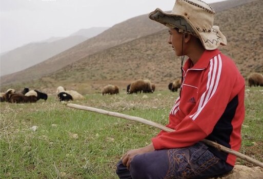  مستند ایرانی نامزد جشنواره مونیخ شد