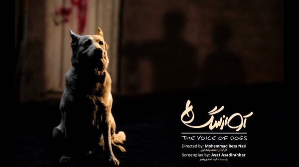  تولید فیلم کوتاه «آواز سگ‌ها» به پایان رسید 