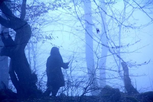  حضور فیلم کوتاه «جانور» در دو جشنواره آمریکایی و استرالیایی 