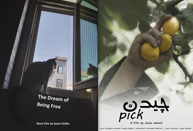 نمایش دو فیلم کوتاه ایرانی در نیومکزیکو